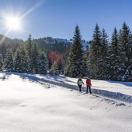 Apartmán Vicky In The Kitzbuehel Alps
